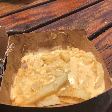 Steers