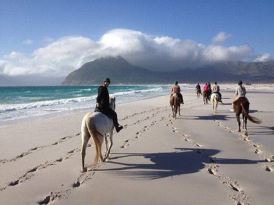 CuraNova Equestrian Centre