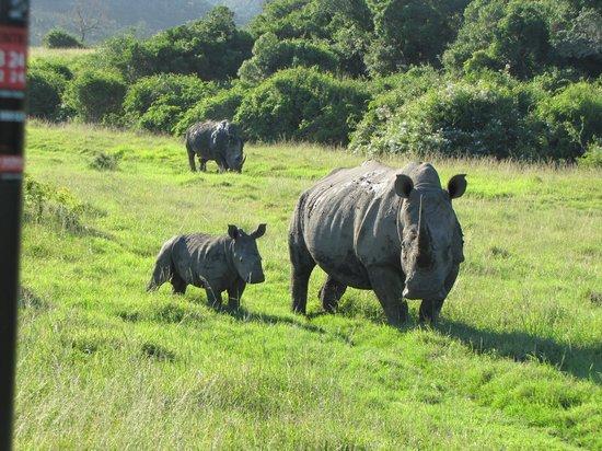 Sibuya Game Reserve