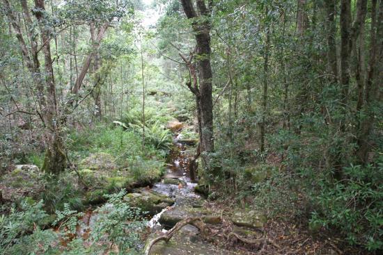 Tsitsikamma Woodcutters Journey