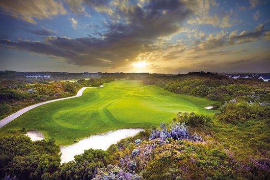 St Francis Links