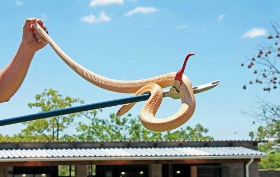 Apex Predators Snake Park