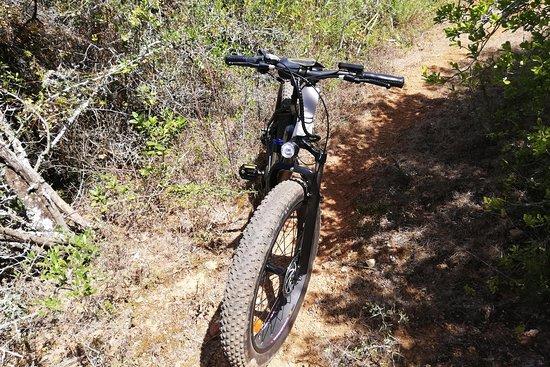 Chumani Ebikes